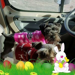 Meet your Posher, Robyn